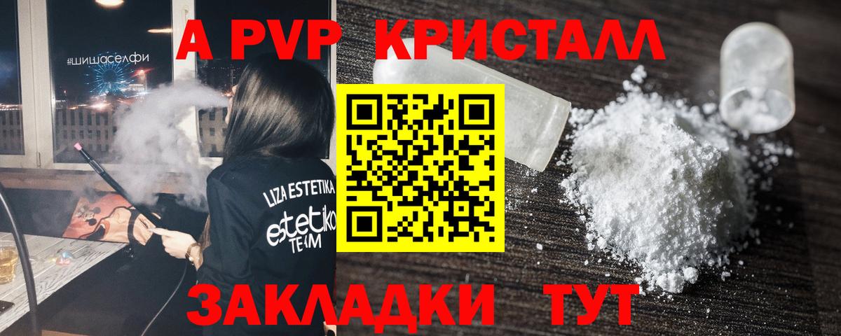 A-PVP СК КРИС Шахты