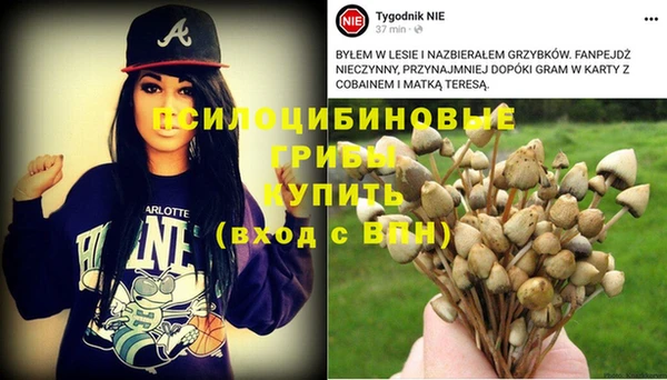 амф Осинники
