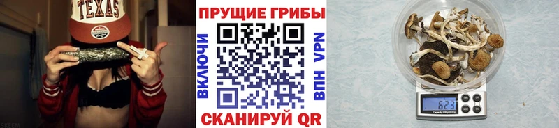 Галлюциногенные грибы Psilocybine cubensis  Шахты 
